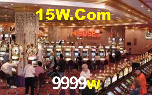 Interface Premium 9999w